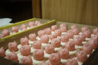 /album/torty-mamyomy/svadobne-prasiatka-jpg/